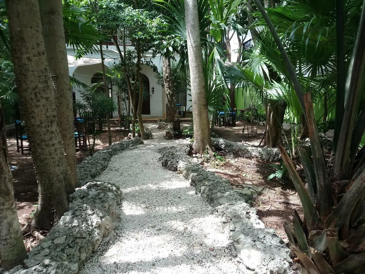 Hotel Casita Rustica En La Selva Cancún