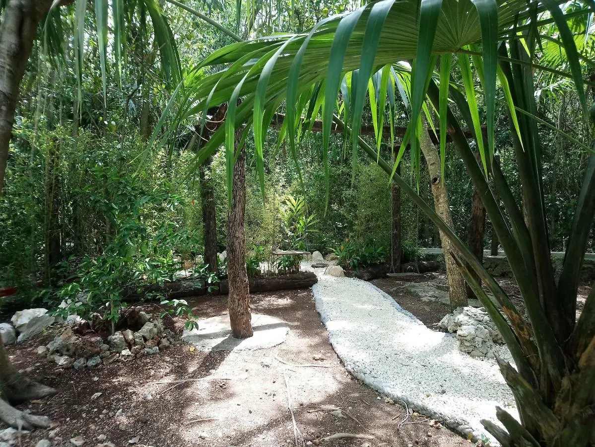 **  Hotel Casita Rustica En La Selva Cancún Mexiko