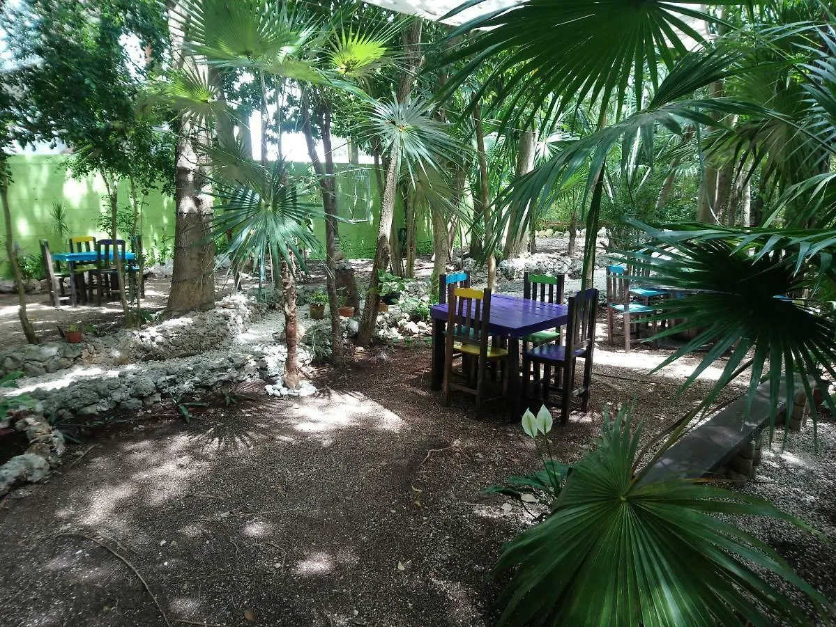 Hotel Casita Rustica En La Selva Cancún Mexiko