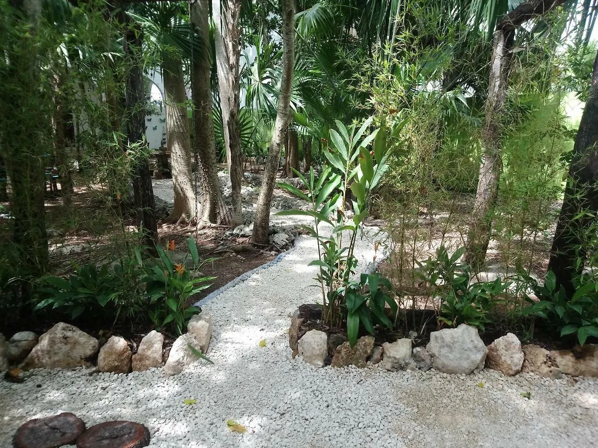 Hotel Casita Rustica En La Selva Cancún