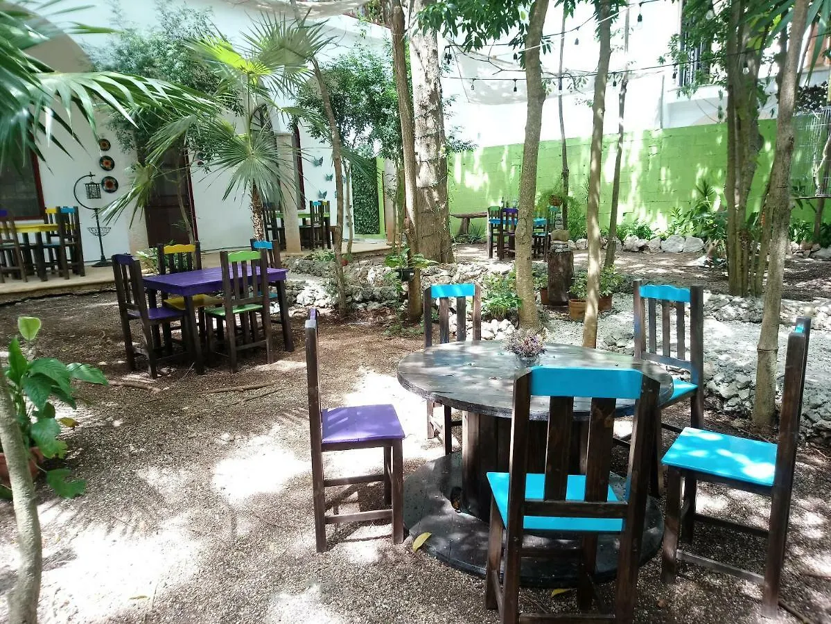 Hotel Casita Rustica En La Selva Cancún