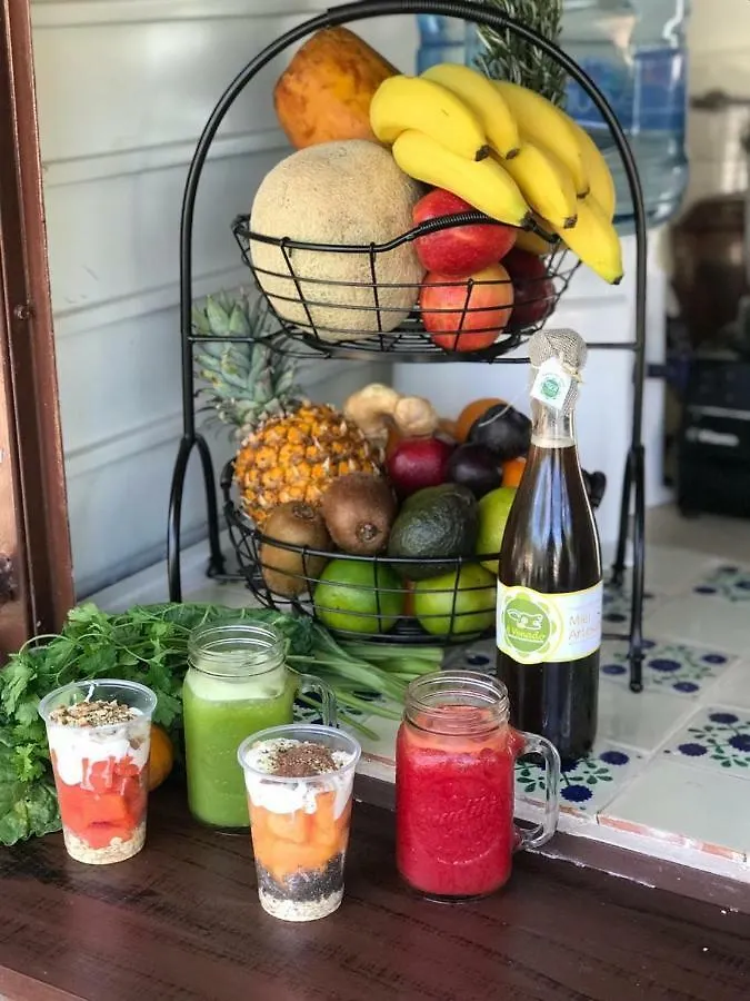 Hotel Casita Rustica En La Selva Cancún Mexiko