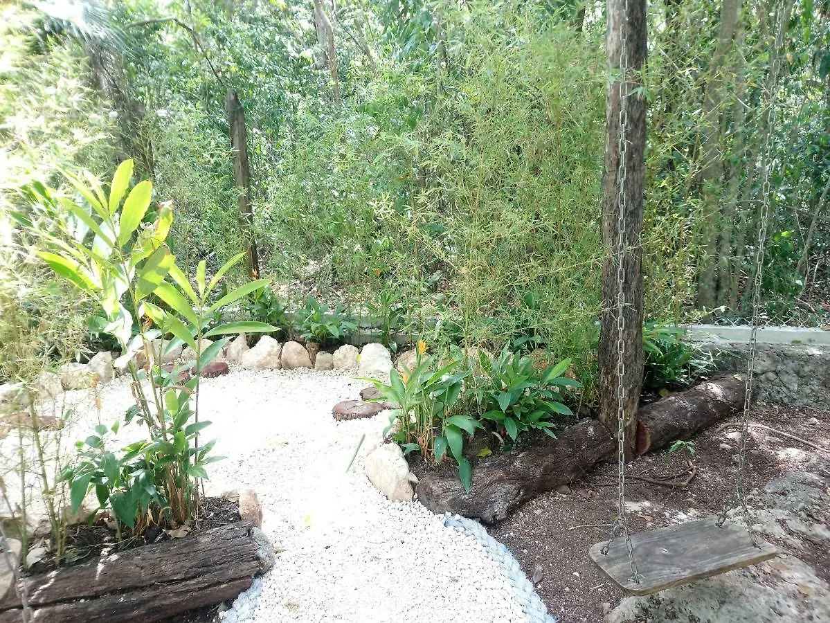 فندق كانكونفي  Casita Rustica En La Selva