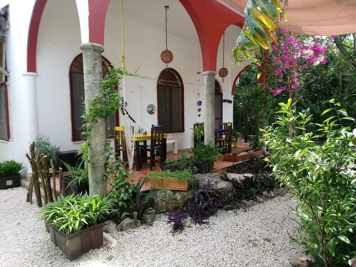 فندق كانكونفي  Casita Rustica En La Selva