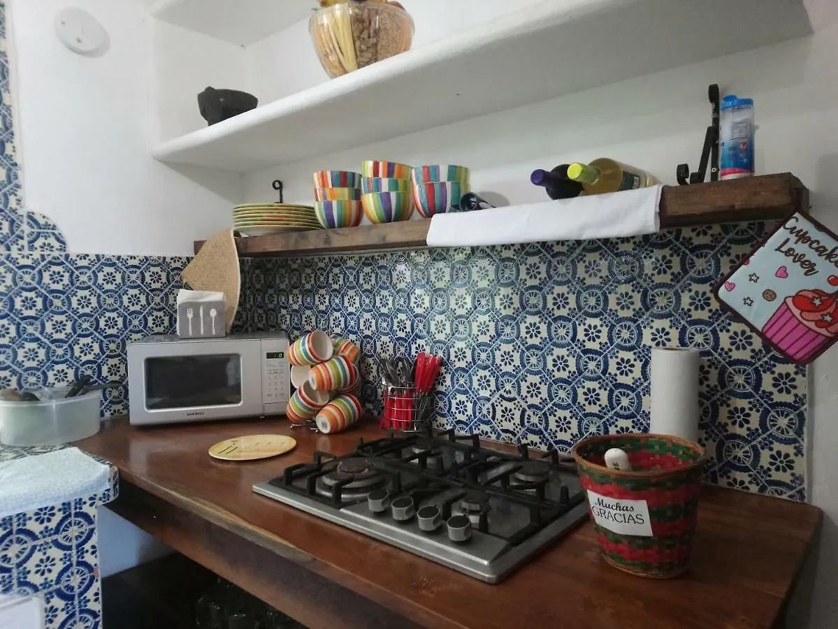 فندق كانكونفي  Casita Rustica En La Selva  كانكون